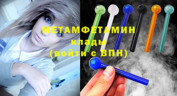 прущие грибы Верхний Тагил