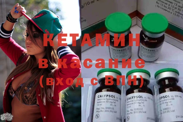 прущие грибы Верхний Тагил