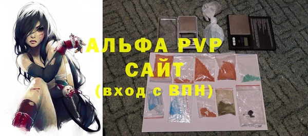 прущие грибы Верхний Тагил