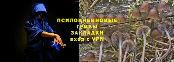 таблы Богородицк