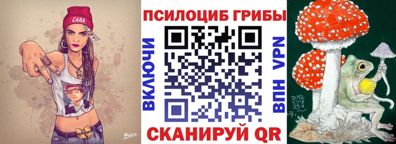 Псилоцибиновые грибы GOLDEN TEACHER  закладка  blacksprut ССЫЛКА  Дмитриев 